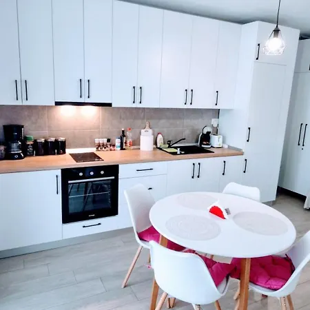 Ateneo Апартаменты Тимишоара