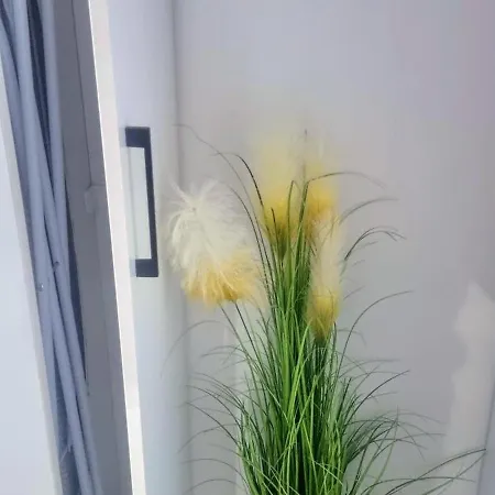 Ateneo Апартаменты *