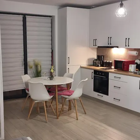 Апартаменты Ateneo Тимишоара