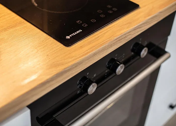 Appartement Ateneo Timişoara